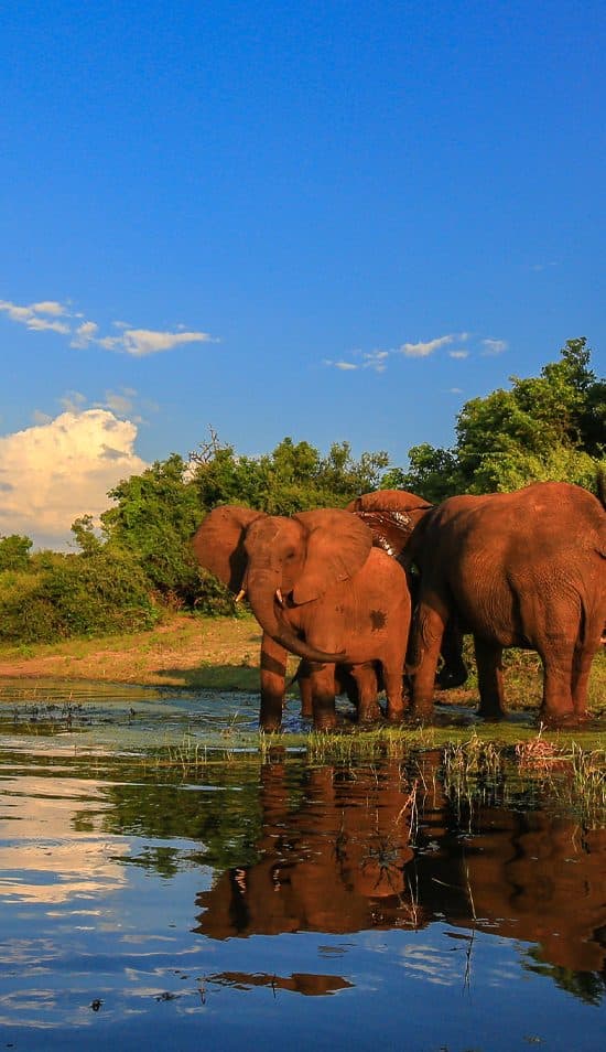 África: Vive la aventura